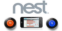 Nest